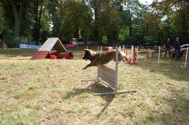 foire-haricots 2011-09-17et18